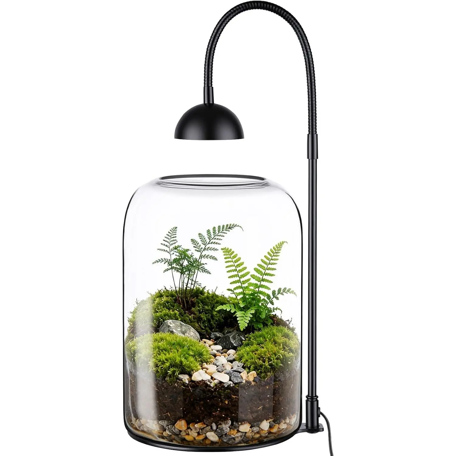 Glass Plant Terrarium with LED Grow Light, Adjustable Ventilation Desktop Indoor Planter for Venus Fly Trap, Moss & Succulents, 8.2" Borosilicate Mini Greenhouse for Home Office Decor