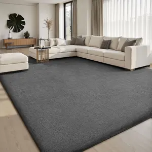 FAMVAL Large Size Cozy Modern Area Rug, Dense Plush Non-Slip Carpet for Bedroom, Living Room, Nursery, Dorm and Apartment summerwins