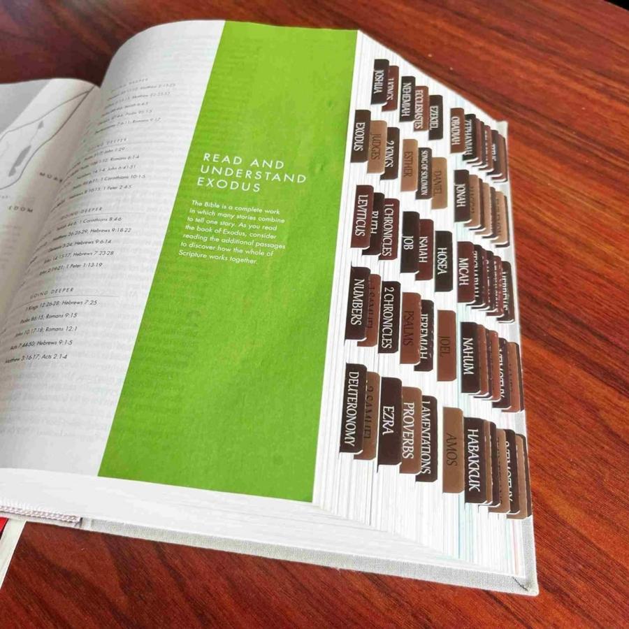 80pcs Thinkor Reposition Laminated Bible Tabs, Adhesive Tabs, Large Print Book Reading Stickers, Book Accessories, Easy to Read and Apply, Earthy, for Men and Women