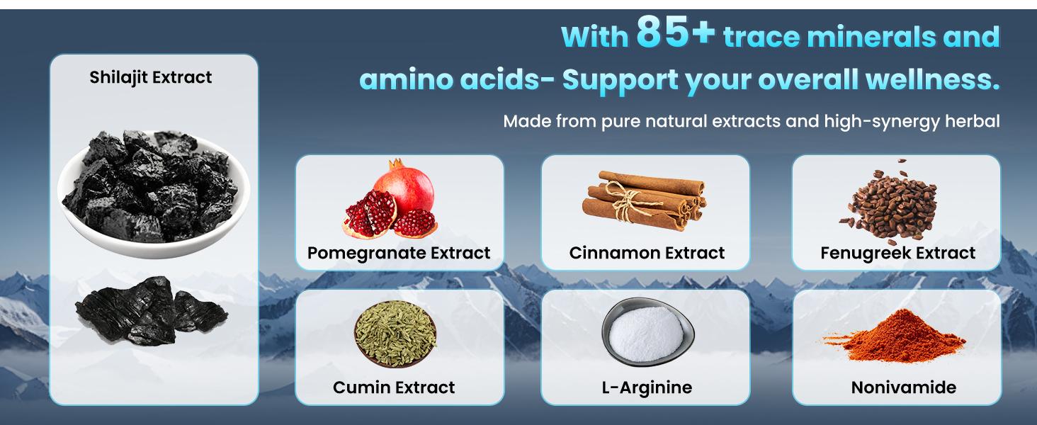 Premium FLYNEW Vitamin Optimal Potencyi Shilajit Ultra Adaptogen Energy Stamina lmmuneAntioxidants Made in USA 60 Capsules Healthcare Organic Fitness Supplement DietaryNatural hmb supplement Edible creatine monohydrate protein