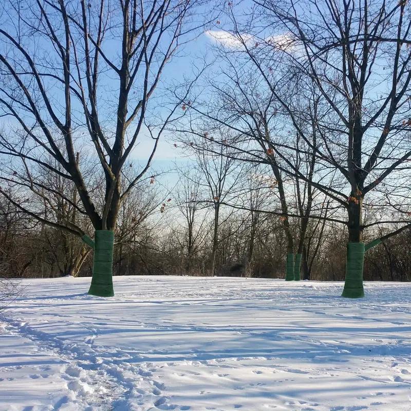2-Pack 65 Ft Winter-Proof Tree Protector Wraps, Tree Trunk Protection, Trunk Guard for Shrub & Plants, Antifreeze Bandage, Warm Keeping & Moisturizing