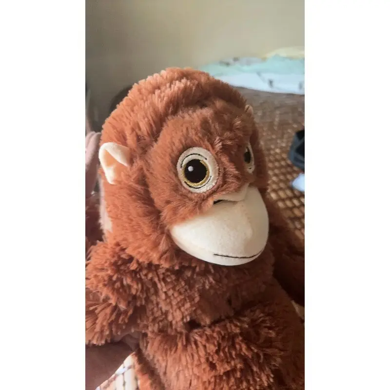 63cm Cute Long-armed Brown Gorilla Plush Toy, a Soft Curtain Hanging Piece and a Monkey Doll Birthday Present for Your Child