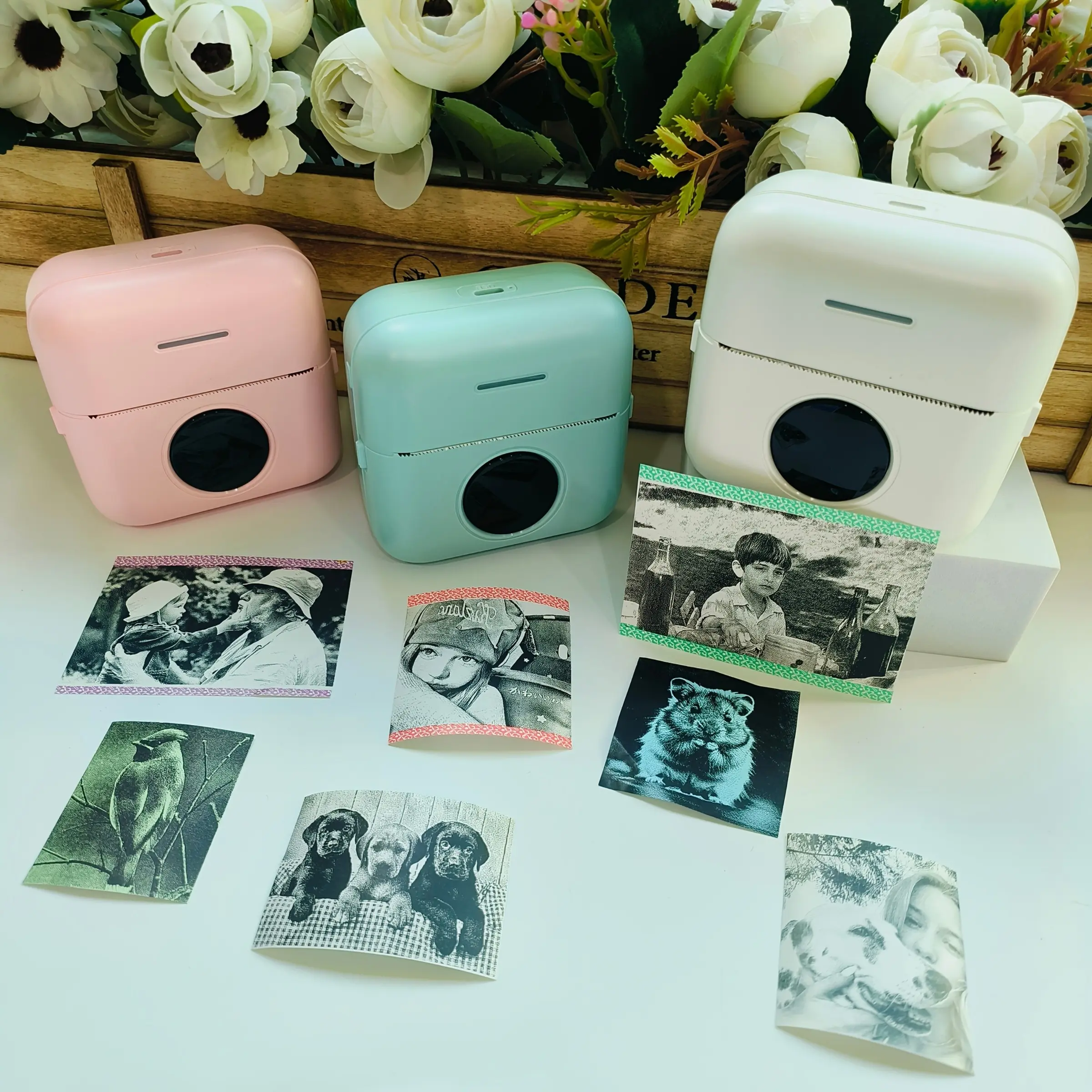 Portable Mini Printer, Inkless Thermal Printing, Photo Printing, Ideal for DIY Notes, Photos, Study Notes, Holiday Gifts, Portable Handheld Printer