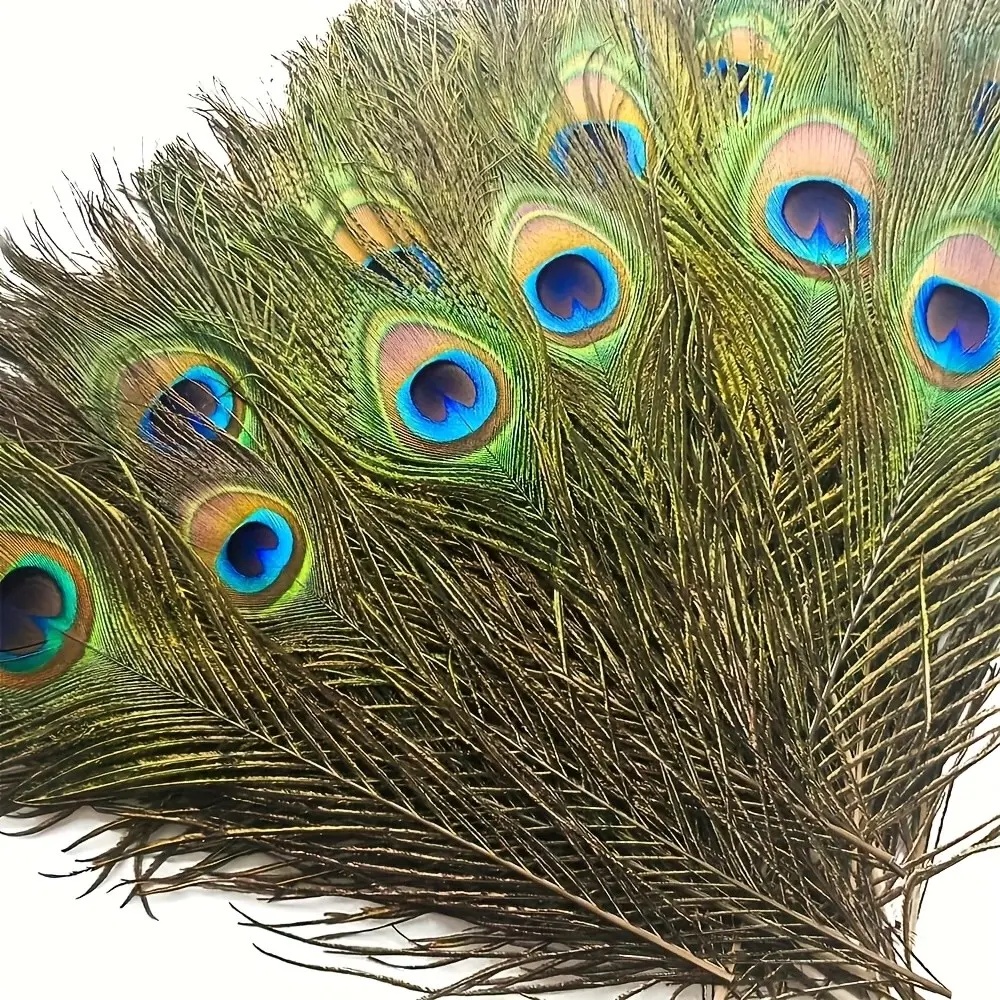 20pcs Realistic Peacock Feather Decorations, Natural Material, Handmade DIY Craft, Wedding Table Centerpiece, Party Accessories, Holiday Decor