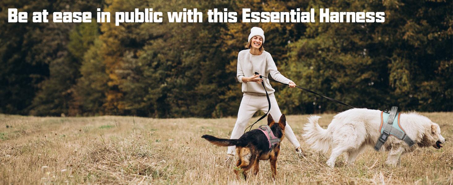 AUROTH No Pull Dog Harness Straps, Safety Harnesses for Dogs – Soft Padded Service Vest, Reflective, Adjustable, Easy On & Off – Ideal for Walking & Training, Fits Small, Medium & Large Dogs