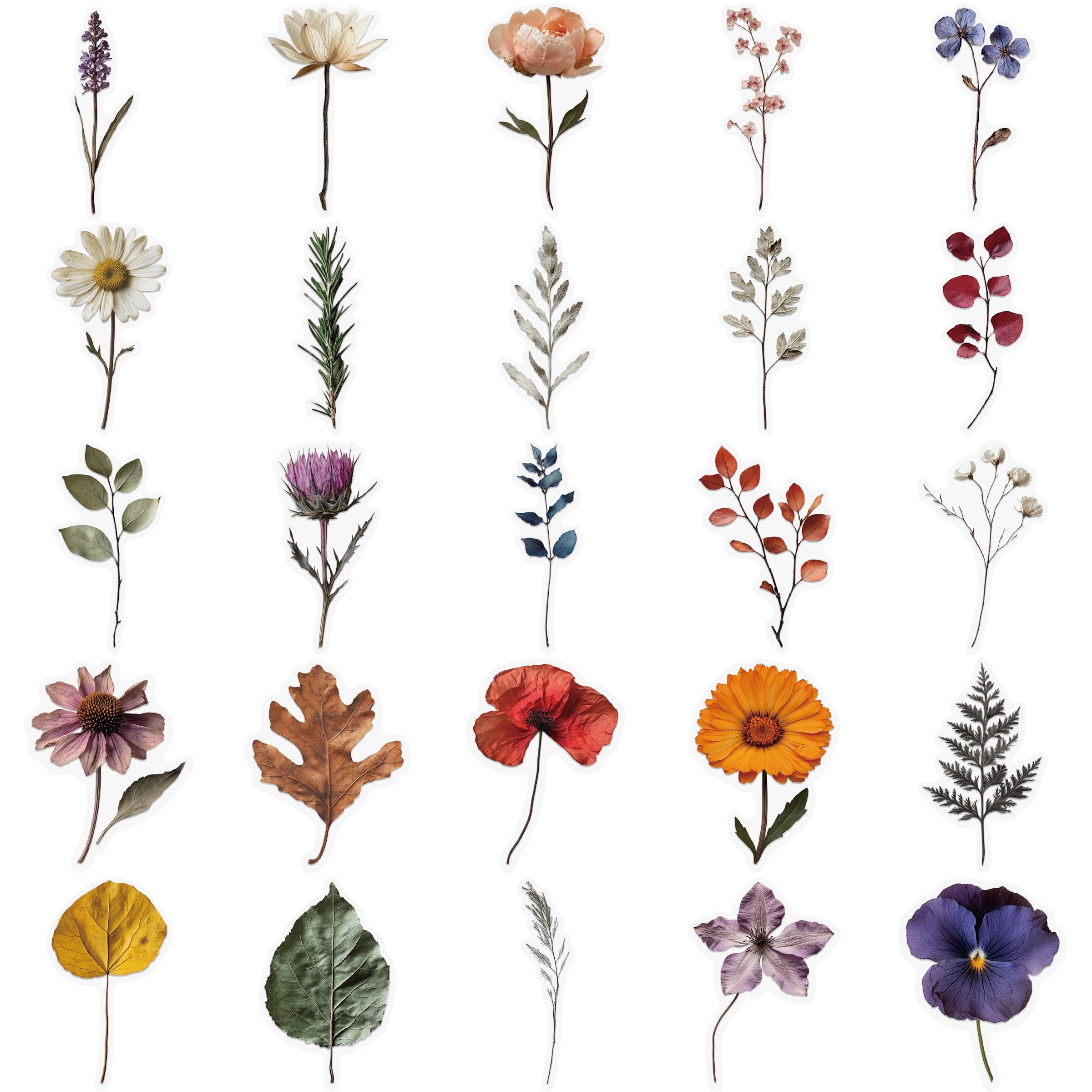 50-Piece Plant Stickers for Scrapbooking, Journaling & Crafting – Realistic Botanical Leaves, Ferns, and Tropical Plants, Self-Adhesive Decorative Stickers