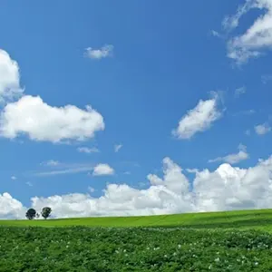 Ruipai outdoor tools