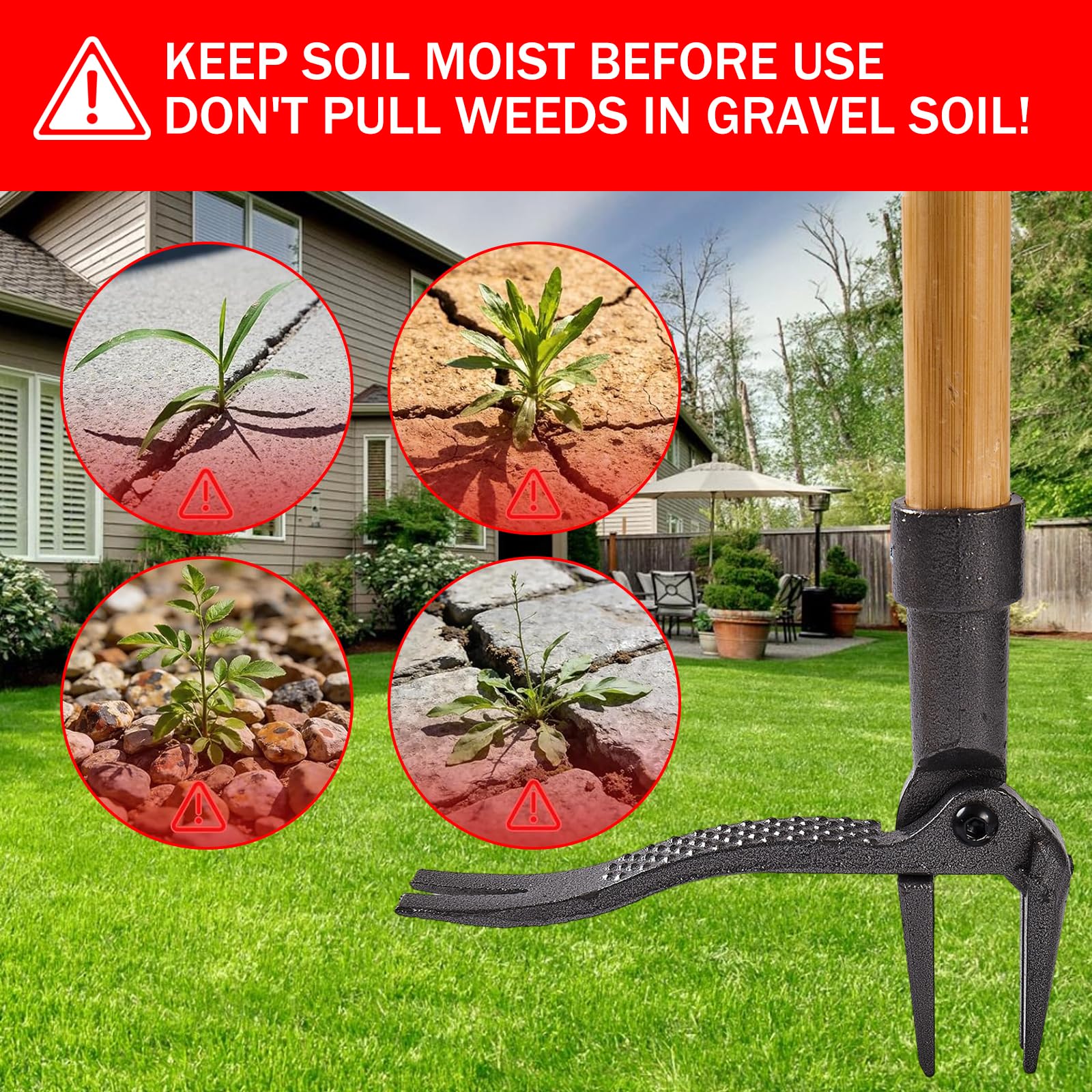 Standing Weed Removal Tool with 4-Prong Steel Head, Long Handle, Manual Grass Puller for Gardens, Lawns, Outdoor Use, No Bending/kneeling Standing Weed Removal Tool with 4-Prong Steel Head, Long Handle, Manual Grass Puller for Gardens, Lawns, Outdoor Use, No Bending/kneeling