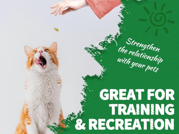 【Live Big Deal 】JUST TRY Cat Grass Treats and Hairball Solution