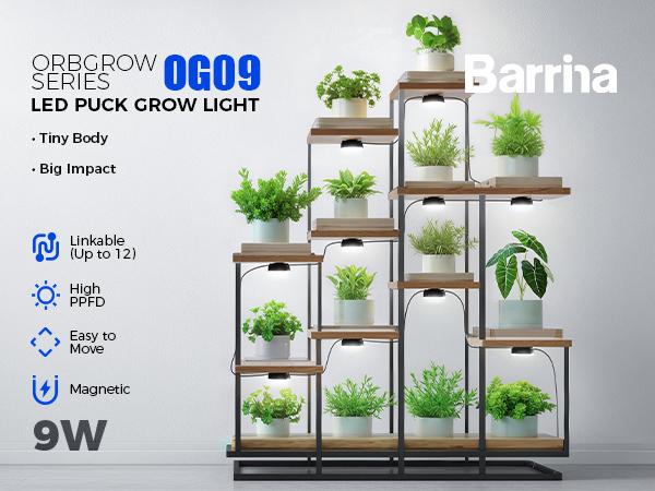 Barrina Orbgrow OG09 Puck LED Grow Light, 5000K 9W(135 Watt Equiv), Plant Lights for Indoor Plants Full Spectrum, Magnetic & Linkable, Small Grow lamp, Perfect for Plant Shelf, 1 Pack, Black Barrina Orbgrow OG09 Puck LED Grow Light, 5000K 9W(135 Watt Equiv), Plant Lights for Indoor Plants Full Spectrum, Magnetic & Linkable, Small Grow lamp, Perfect for Plant Shelf, 1 Pack, Black