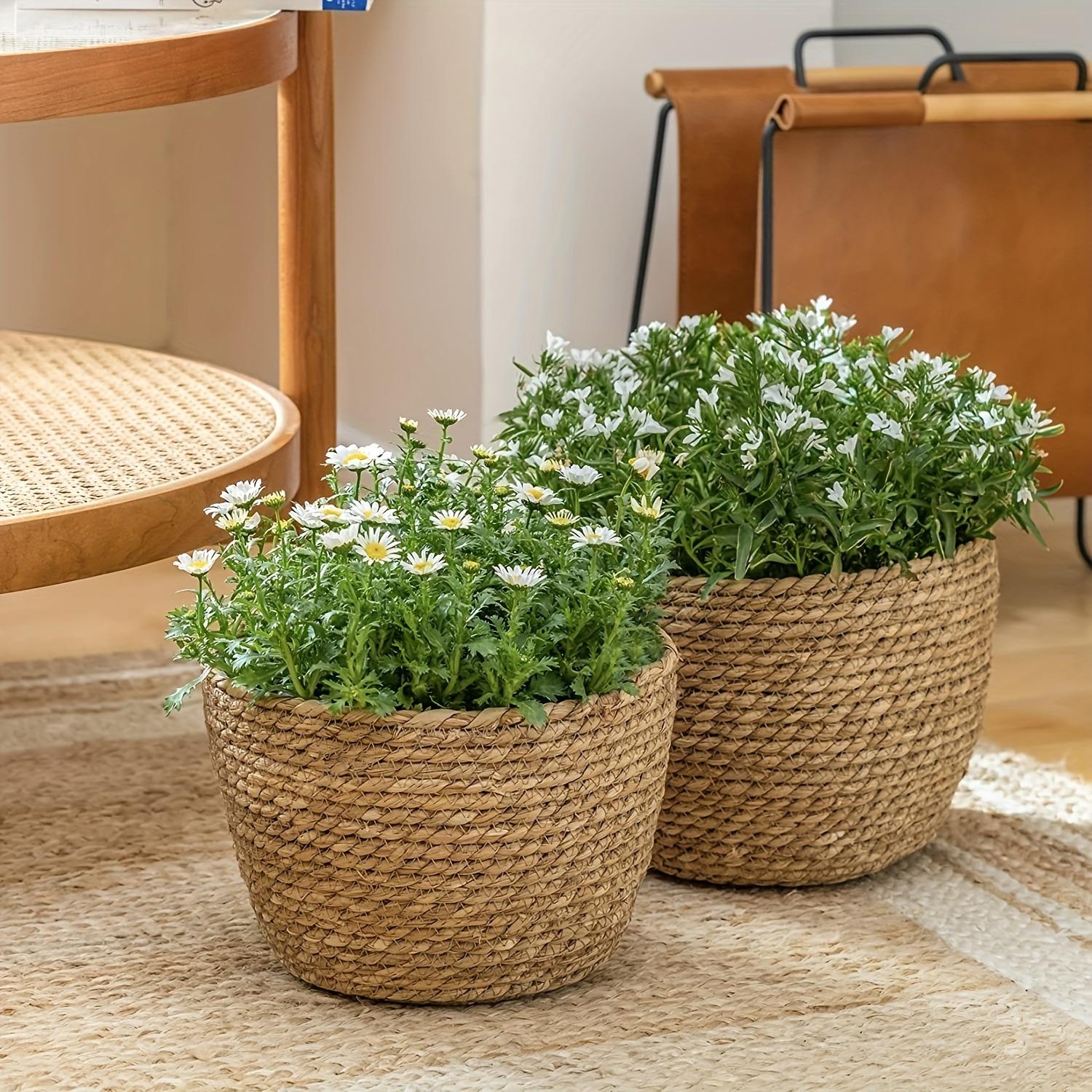 3 Pack Handwoven Seagrass Plant Baskets with Artificial Moss Lining, Breathable Flower Planter Pots, Lightweight Storage Baskets for Succulents, Herbs and Various Potted Plants, Stylish Decor for Indoor and Outdoor Garden Layout
