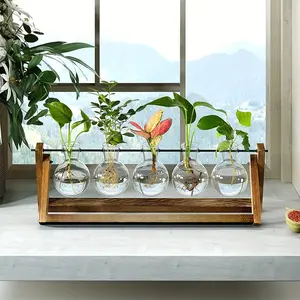 Office Desktop Plant Display Stand, Five-Hole Glass Hydroponic Vase Set, Simple Office Table Plant Decoration, Office Showcase Items
