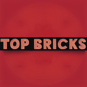 Top Bricks toy