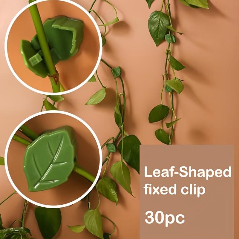 30pcs Leaf-Shaped Plant Climbing Clips, Vine Wall Fixing Clamps, Durable Garden Support Hooks, Easy Install Flower Pot Accessories