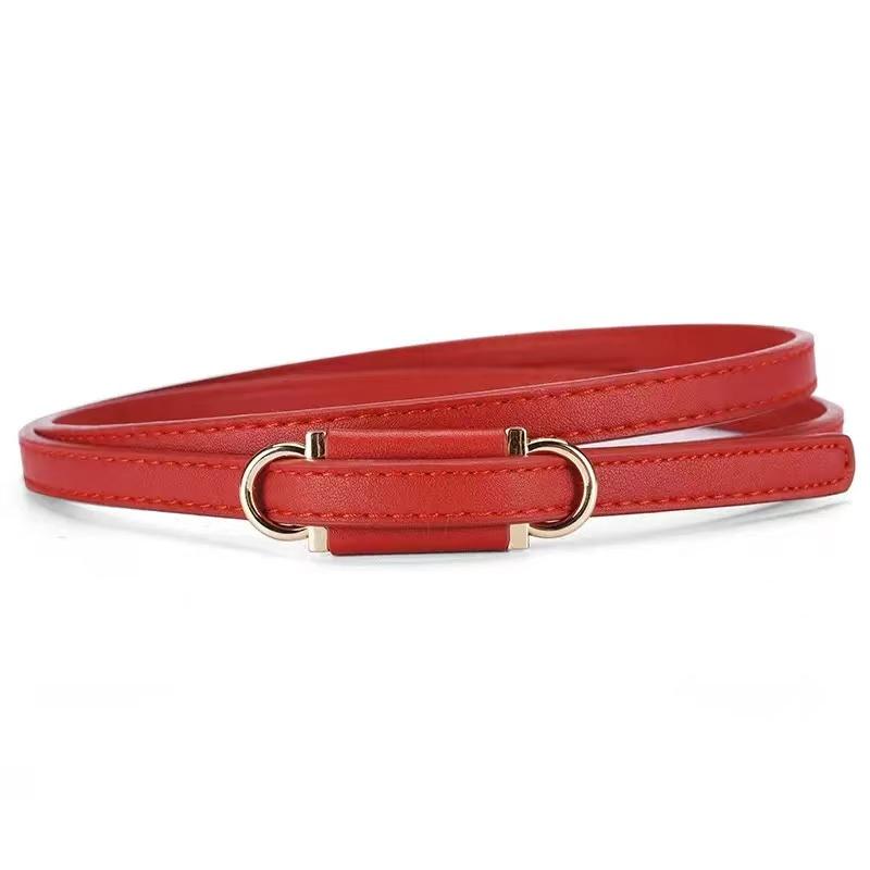 Adjustable Thin Belt with Dual Buckles, Soft Style Waist Cinch Strap, Multi-Color Options, Dress & Sweater Accent Belt