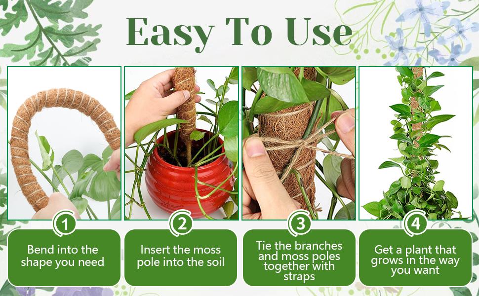 3 Pack Moss Pole,31 Inch Monstera Plant,Bendable Plant Trellis Moss Pole for Plants Monstera,Moss Poles for Climbing Plants Indoor,Coir Plant Pole Sticks Stakes (3pcs)