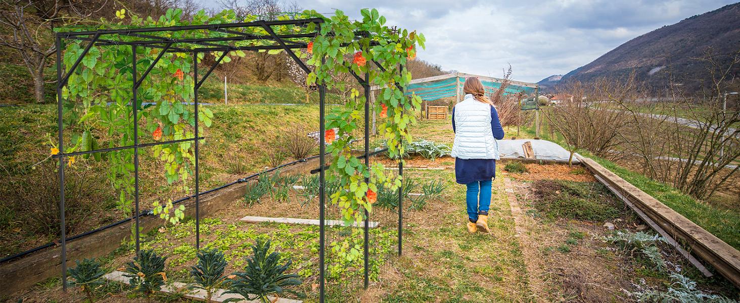 Lilypelle Extra Tall Garden Arch Trellis for Climbing Plants Outdoor, 79" / 87" H Metal Arbor Plant Support Trellis Archway for Yard Lawn Garden Lilypelle Extra Tall Garden Arch Trellis for Climbing Plants Outdoor, 79" / 87" H Metal Arbor Plant Support Trellis Archway for Yard Lawn Garden