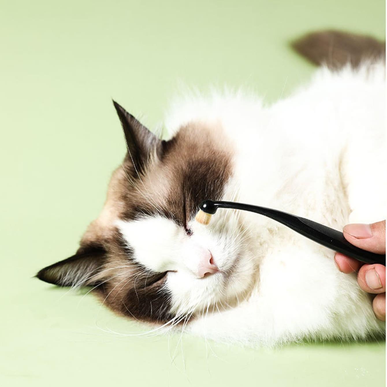 Pet Eye Cleaning Brush, Dog Tear Stain Remover, Puppy Eyelash Brush, Pet Care Supplies, Grooming Products, Gentle & Effective, Easy to Use