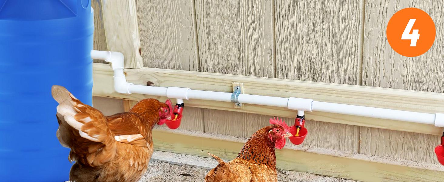 12-Piece PVC Tee Fittings for Automatic Chicken Waterer, Threaded Connectors That Connect Poultry Nipples, Cups, Feeders (Farm Animal & Poultry Feeding Supplies), Connects