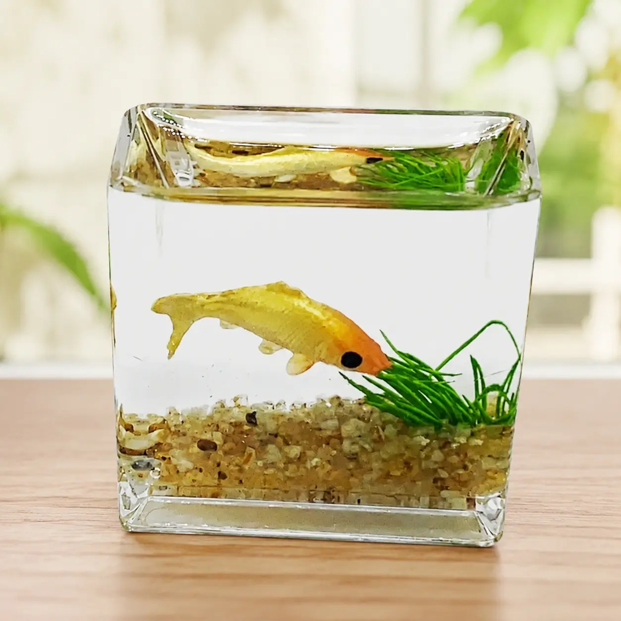 DIY Terrarium Kit for Succulents & Moss, Thick Glass Planter with Tools, Mini Garden in a Jar for Home Office Desk Decor, Creative Waterproof Ecosystem for Plant Lovers