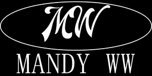 Chic Saver Closet shop logo