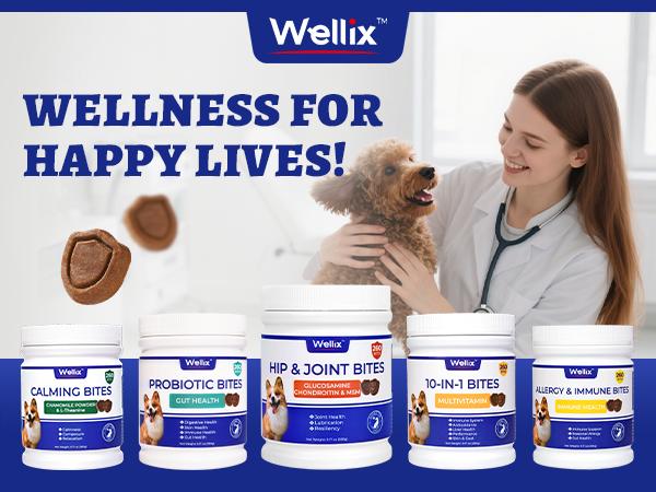 Wellix 260-Count Dog Hip and Joint Chews, Joint Supplement with Glucosamine Chondroitin MSM, Hip & Joint Pain Relief for All Breeds