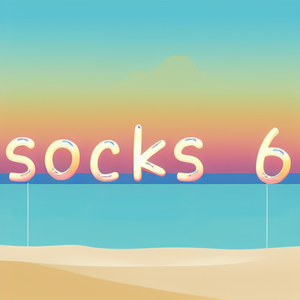 socks 6