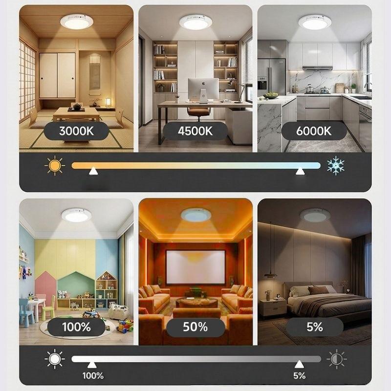 Smart Human Motion Sensor Ceiling Light with Type-C Charging Cable, Adhesive Tape, Remote Control, Iron Sheet, Screw Bag, Bedroom Stairs Closet, Motion Sensor Lamp