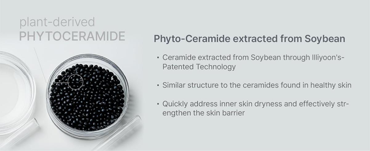 ILLIYOON Ceramide Ato Concentrate Cream | Moisturizer for Dry & Sensitive Skin, 100hr Lasting Hydration, For Face & Body, Gentle for Infants, Moisture Barrier Repair, Vegan Certified, 6.76 fl.oz.