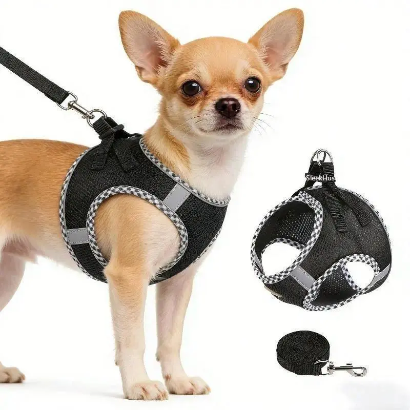 Practical 2-pc Solid Dog Harness and Leash Set, Adjustable No-Pull Chest Strap for Outdoor Walking with Small to Large Dogs