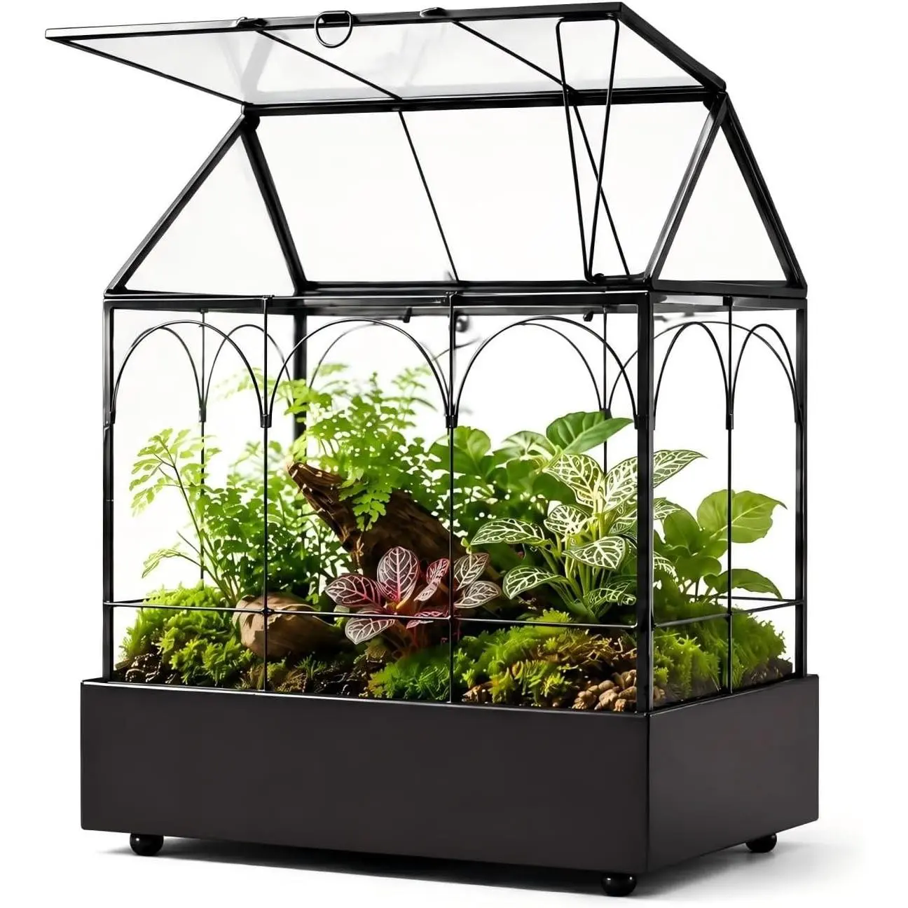 Large Tall Glass Plant Terrarium – House Succulent Terrarium Kit with Lip and Tray Glass Greenhouse Terrarium for Plant 9.5”X5.7”X11.4”