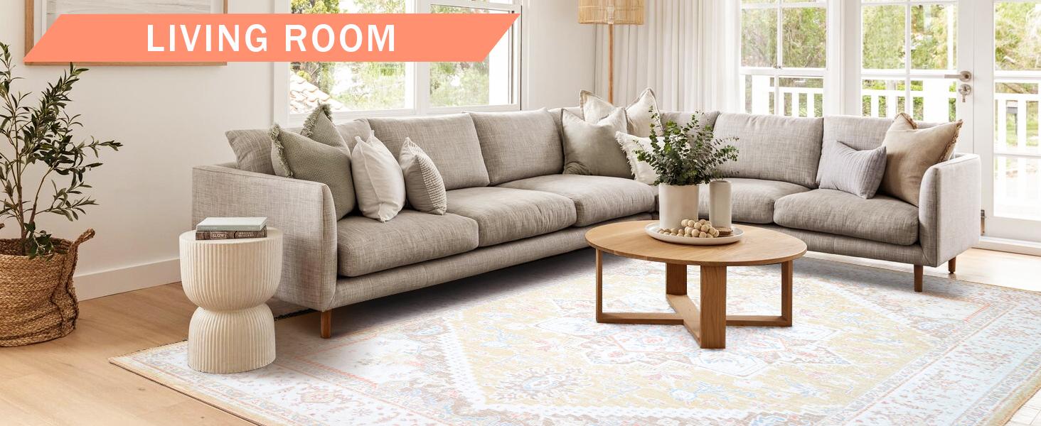 BESTSWEETIE Machine Washable Area Rugs for Living Room Floor Carpet Doormat Vintage Runner Rug for Bedroom Indoor Dinning Room Nursery Large Area Rug Outdoorfun