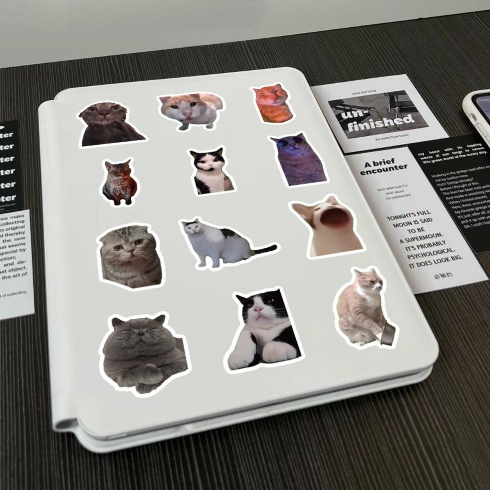 300 cat meme stickers, cute and funny quirky cat Instagram-style emoji and meme images