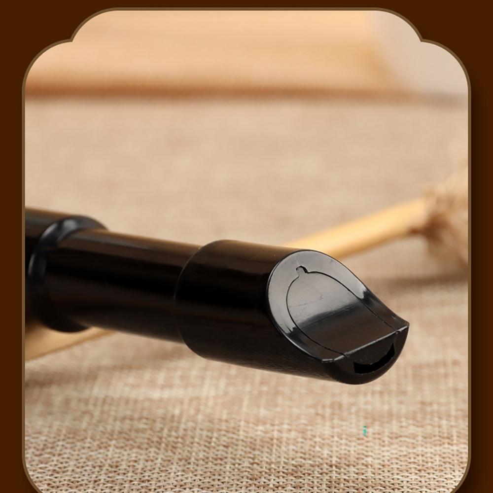 Schwinger 6 Hole Recorder Key D Resin, Portable Non-Toxic Flute Recorder for Beginners, Ideal for Kids Music Learning