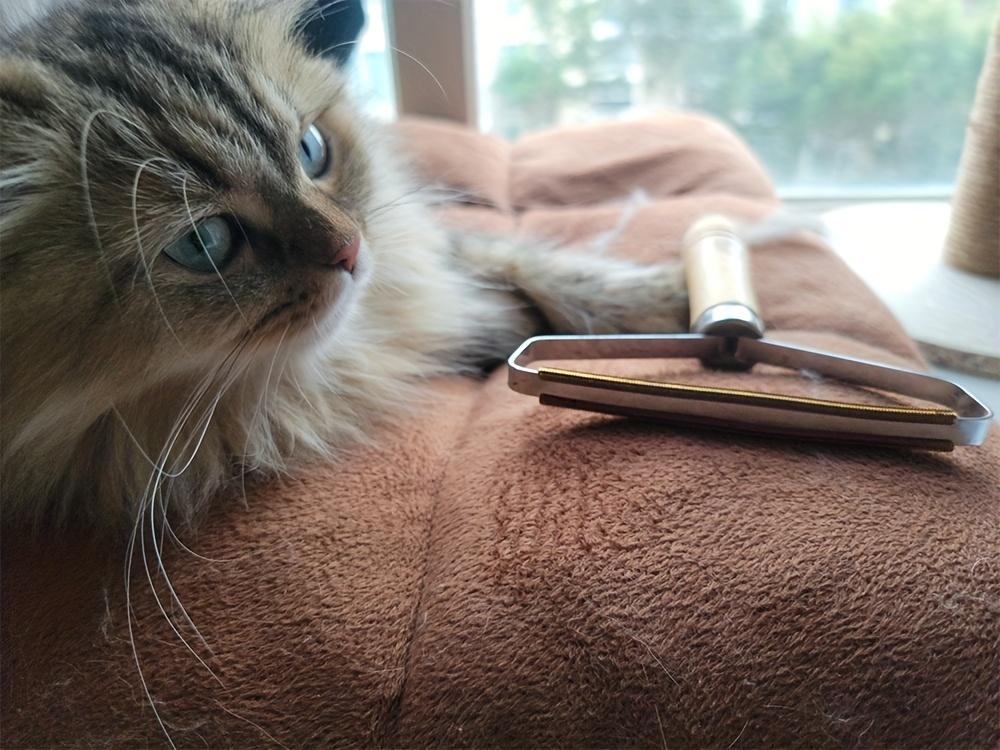 Pet Hair Remover - Multi-fabric and carpet hair removal scraper, deep cleaning hair remover, suitable for sofas, carpets, pet towers and furniture for cats and dogs