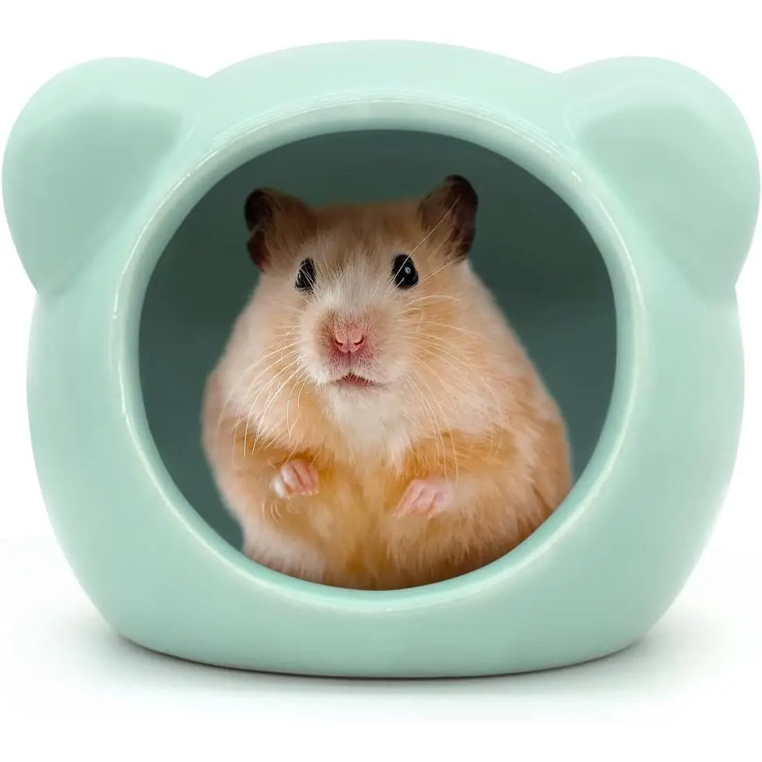 Cute Animal Shaped Ceramic Hamster House Summer Cool Small Animal Hideout Habitat Decor for Dwarf Hamsters Green