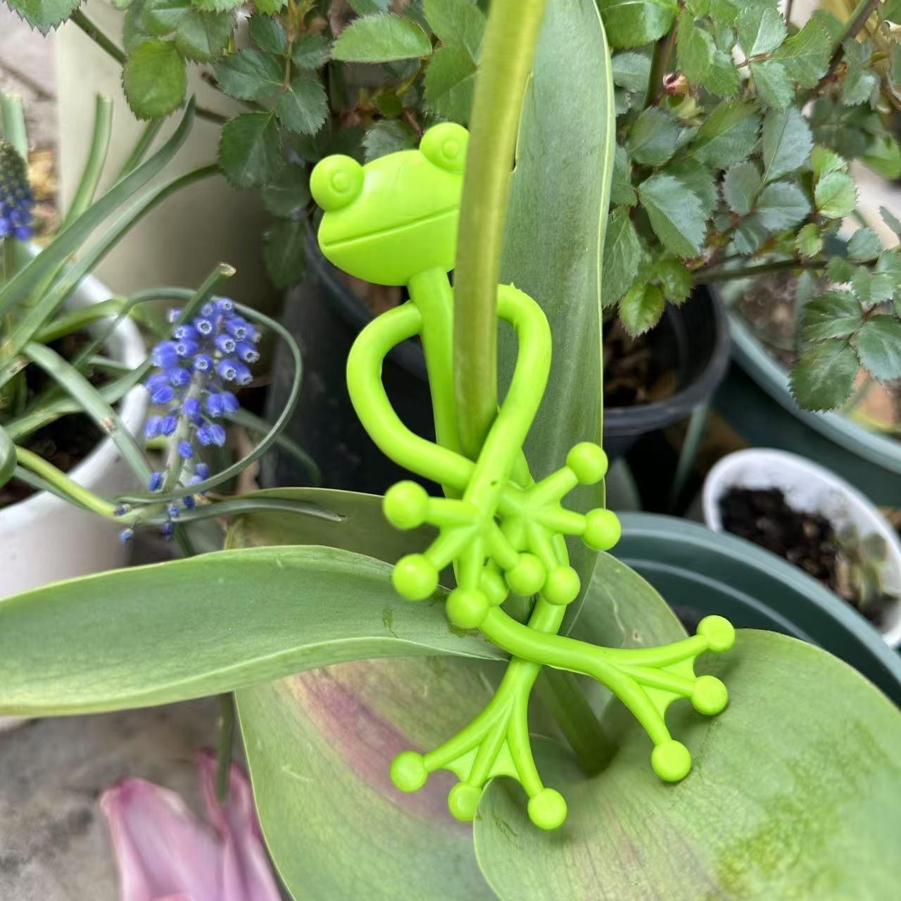 5pcs Frog Plant Support Clips, Indoor Outdoor Climbing Vine Fixing Clamps, Garden Decorative Arm Hangers