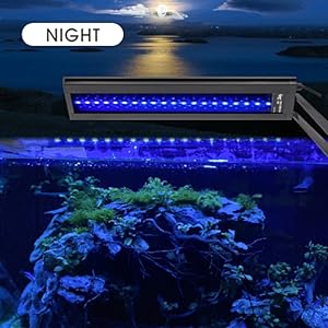 hygger Clip On 24/7 Lighting Aquarium LED Light, 14W Sunrise-Daylight-Moonlight and DIY Mode, Adjustable Timer / Brightness Fish Tank Light with 7 Colors for Planted Tank Aquatic Life Outdoorfun hygger Clip On 24/7 Lighting Aquarium LED Light, 14W Sunrise-Daylight-Moonlight and DIY Mode, Adjustable Timer / Brightness Fish Tank Light with 7 Colors for Planted Tank Aquatic Life Outdoorfun