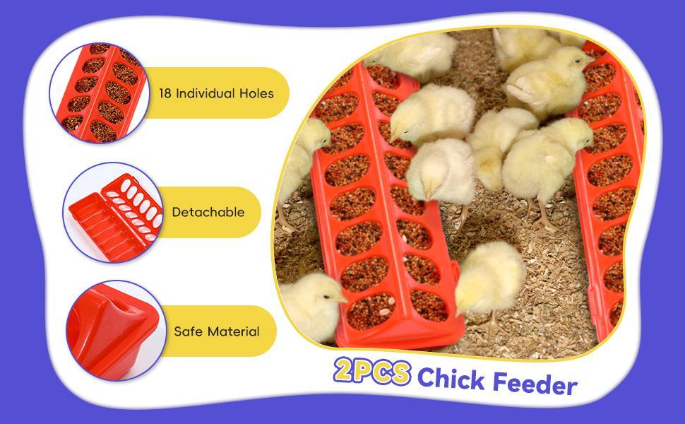 Pawaboo 5-in-1 Chicken Brooder Box for Chick Starter Kit, Includes Pet Cage Tent, Chicks Perch, Chick Feeder, 1.1L Chick Waterer, Baby Chick Supplies (Brooder Set), Green + Red + Wood Color Pawaboo 5-in-1 Chicken Brooder Box for Chick Starter Kit, Includes Pet Cage Tent, Chicks Perch, Chick Feeder, 1.1L Chick Waterer, Baby Chick Supplies (Brooder Set), Green + Red + Wood Color