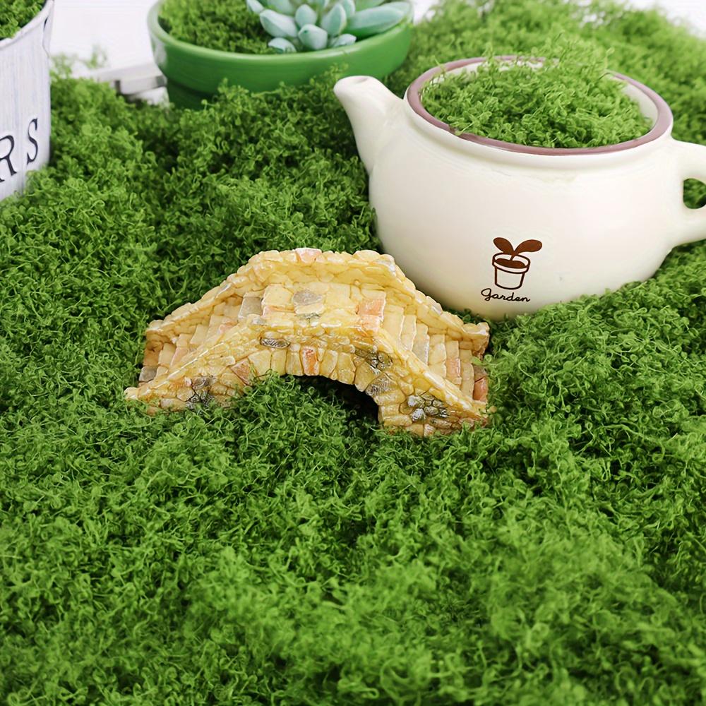 Preserved Sheet Moss, Natural Green Decorative Moss for Plant Walls, Terrariums, Home Decor & Crafts, Long-Lasting No-Water Artificial Moss