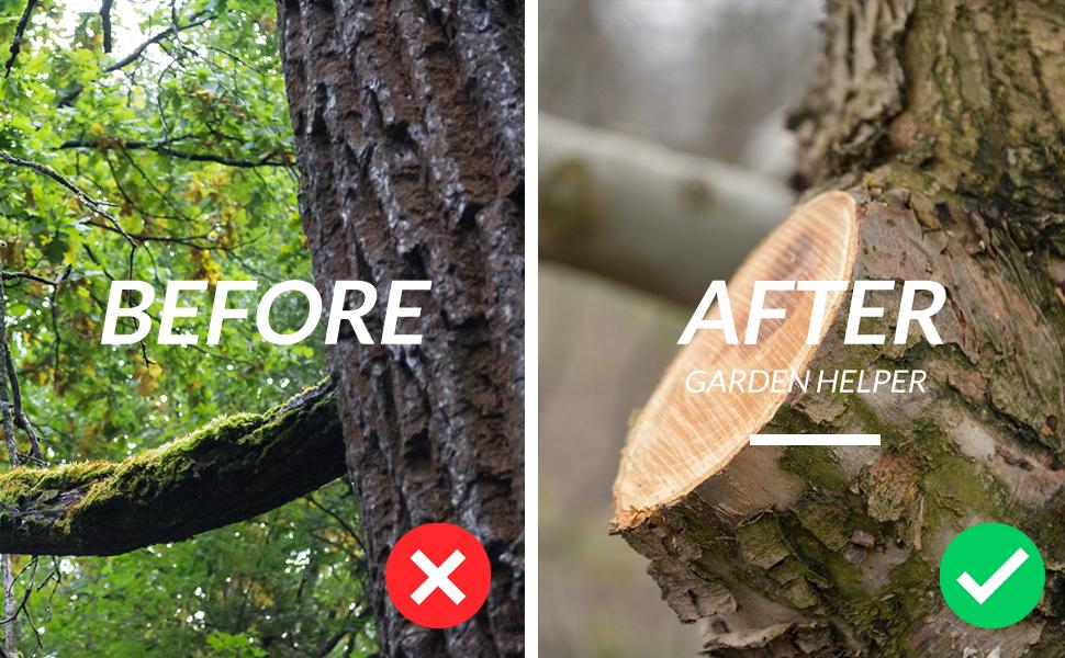 Walensee Pole Saw for Tree Trimming, Lightweight Manual Stainless Steel Extension, High Reach Pruning Tool for Branch Trimming and Cutting in Forestry, Yard, Garden, and Patio