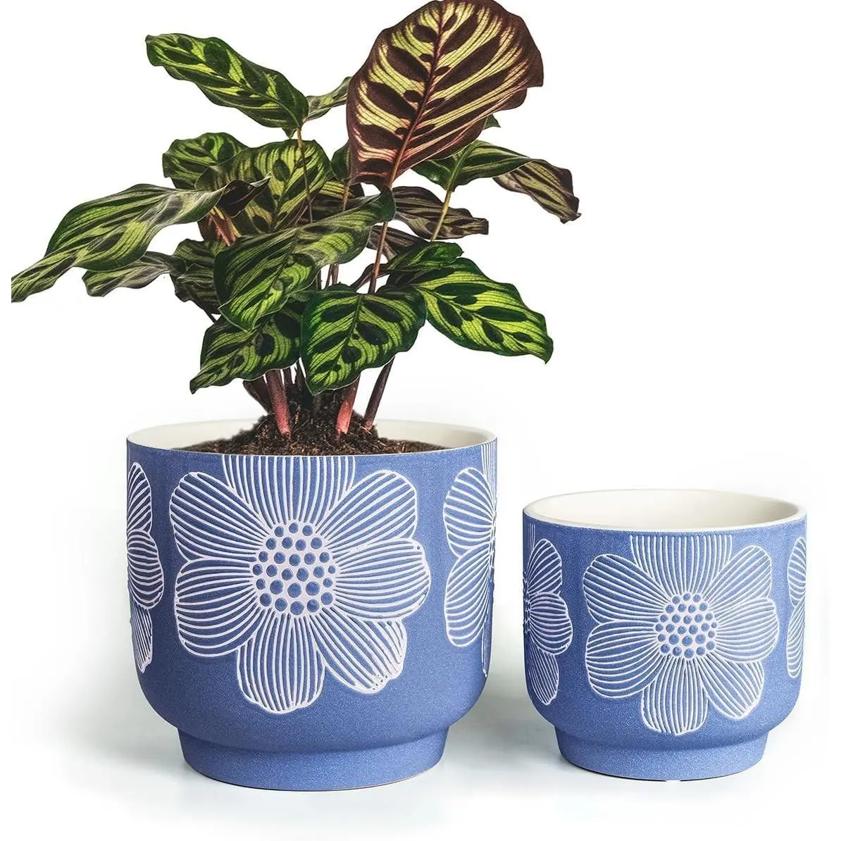 Modern Matte Blue Floral