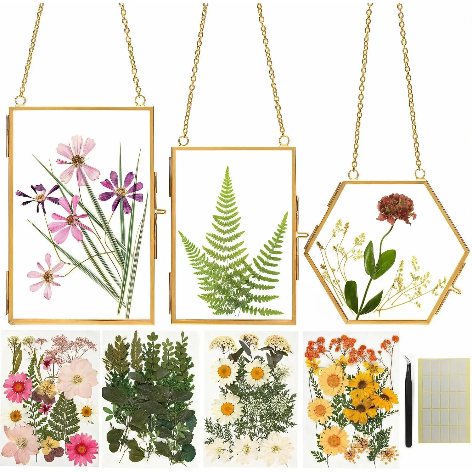 Pressed Flower Frame Kit, 3 Hanging Glass Frames