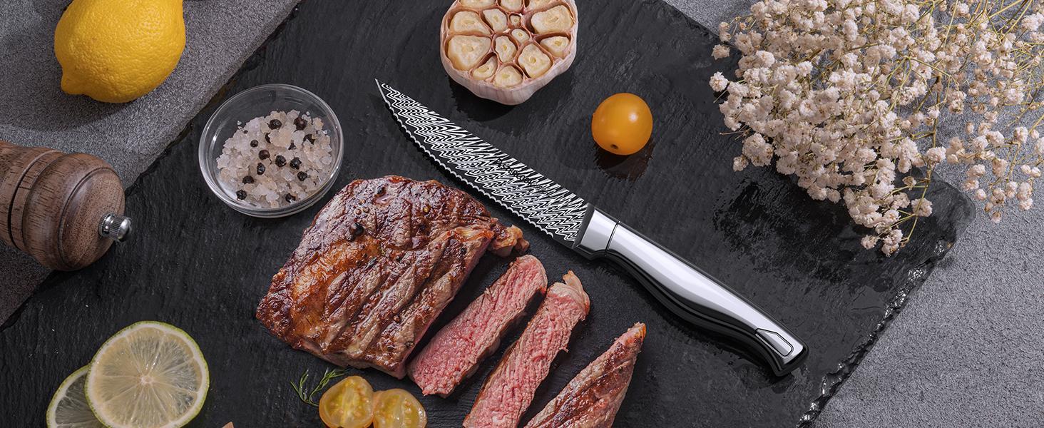 Astercook Knife Set, 14 Pieces Kitchen Knife Block Set with Built in Knife Sharpener Block, Dishwasher Safe, German Stainless Steel, Best Gift, Silver Wood Steak Wooden