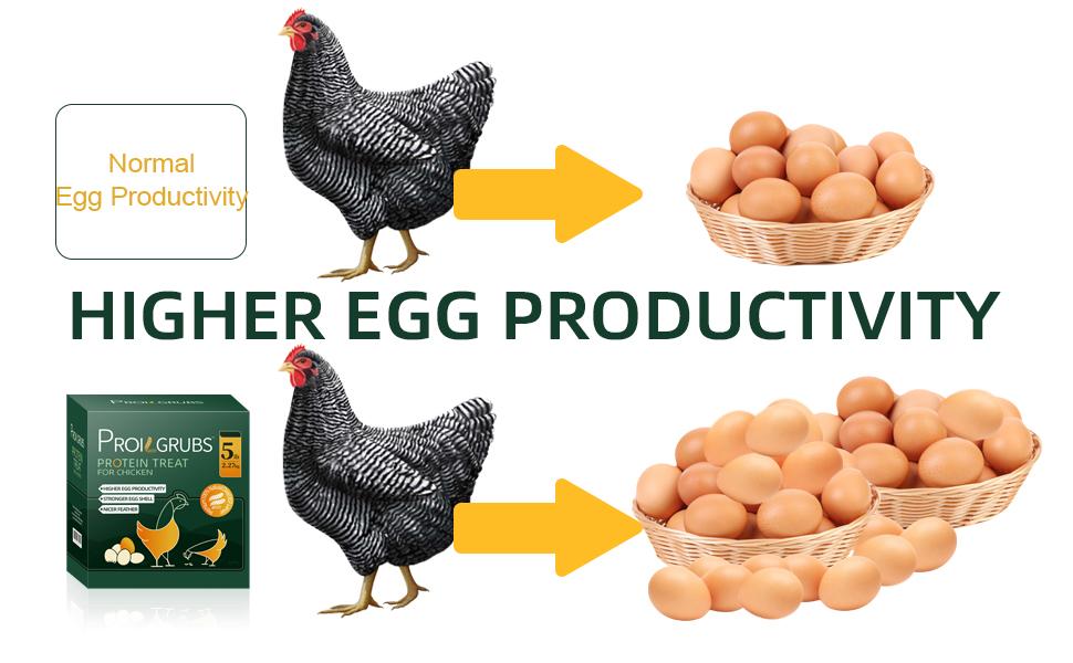 11LBS/10LBS /5 LBS Non-GMO-Dried Worms for Chickens PROILGRUBS All Natural Dried Black Soldier Fly Larvae Treats, Dried Meal Worms for Chickens, Hens, Birds... Egg Productivity   High Protein Black Soldier Fly Larvae   High Protein feed