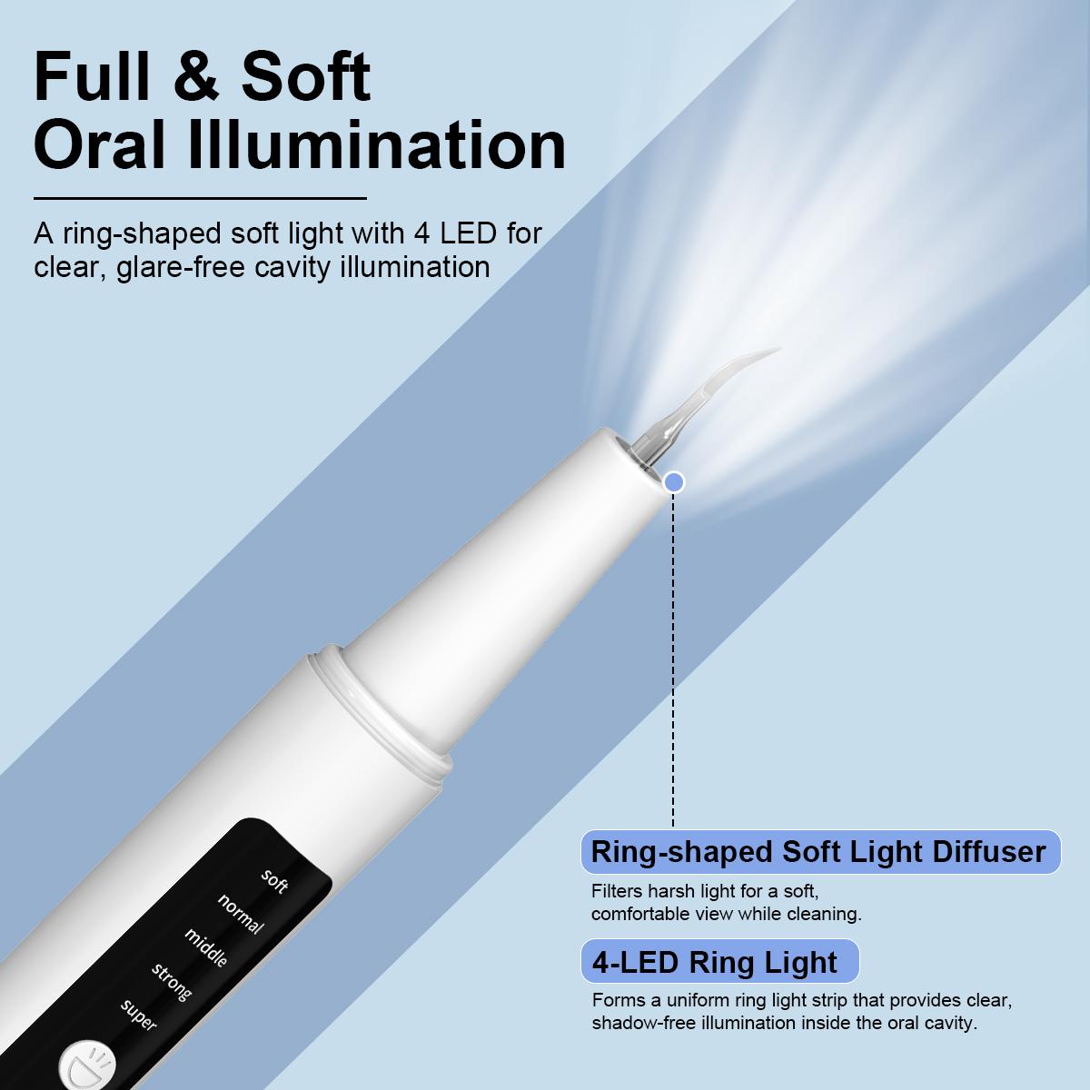 #Summervibes Oral Plaque/Tartar Remover for Teeth,Electric Tooth Cleaner Tartar Remover for Teeth with LED Light,5 Modes Rechargeable Teeth Cleaning Kit with Dental Tools, 3 Replaceable Heads for Adult Pet Safe Use Removable Adjustable