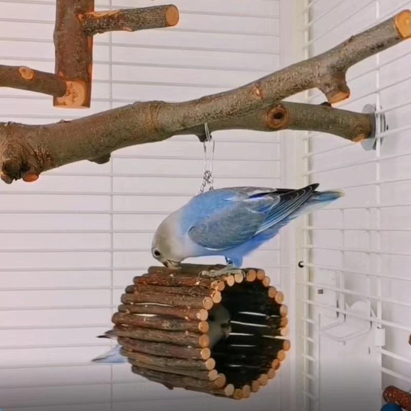 1pc Woven Hide Swing for Small Parrots, Chewable Climbing Toy, Fun Tunnel for Budgies and Lovebirds, Engaging Bird Playtime