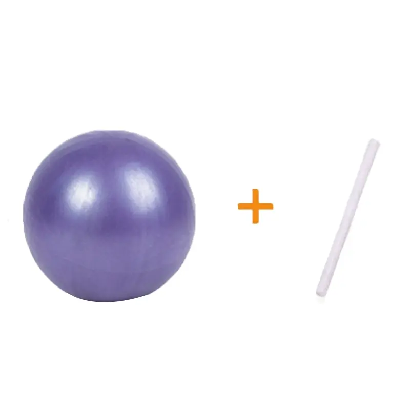 Mini Fitness Pilates Yoga Ball, Super Thick Anti-Burst Durable Balance Ball, Stability Training Physical Therapy, Includes Inflatable Pump, Exercise Balls