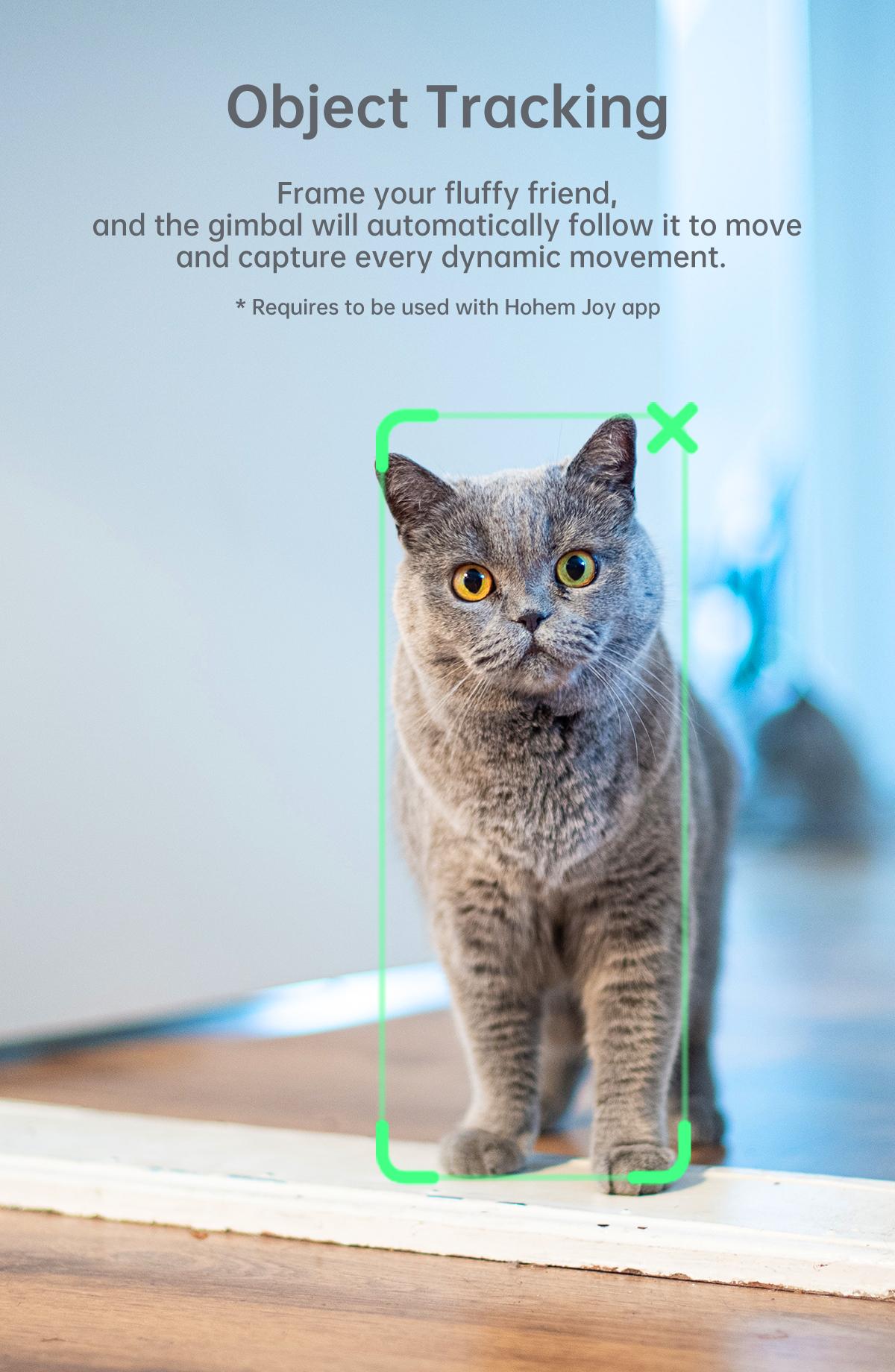 Hohem iSteady XE Kit Gimbal Stabilizer for Smartphone, 3-Axis Gimbal for iPhone 17 series & Android with Magnetic Adjustable Fill Light, Portable & Foldable Stabilizer for Video Recording