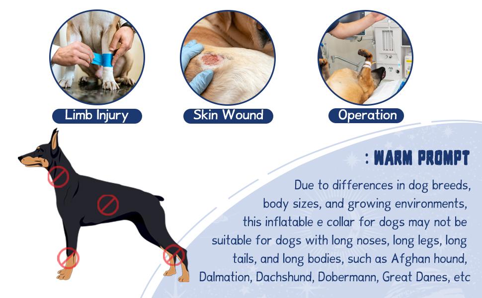 Supet New Style Inflatable Dog Collar